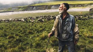 Tragedie în Gorj: Un cioban s-a stins din viață după ce a fost lovit de fulger. Lângă el au fost găsite moarte peste 100 de oi