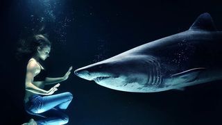 Cum te fereşti de rechini când înoţi în largul mării?