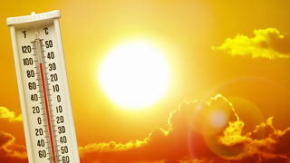  Resursele de apă se înjumătățesc din cauza caniculei