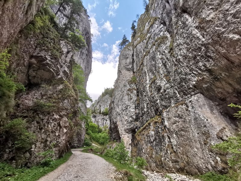 Destinatii Romania concediu de vară