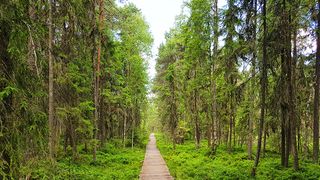 Destinatii Romania concediu de vară