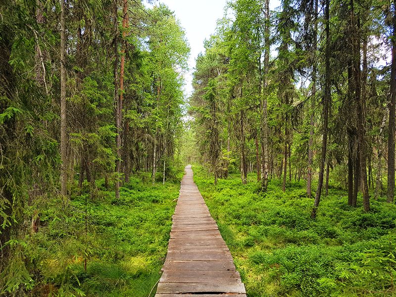 Destinatii Romania concediu de vară