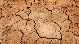 VIDEO - Fermierii, în pragul disperării din cauza secetei. Au ajuns să apeleze la preoți în speranța că ploile vor veni pe câmpurile pârjolite