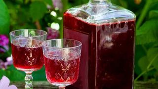 Reţetă vişinată: Cum poţi face vişinată la tine acasă?