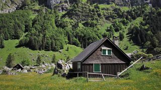 VIDEO - Tot mai mulți rom&acirc;ni se mută la sat &icirc;n perioada verii