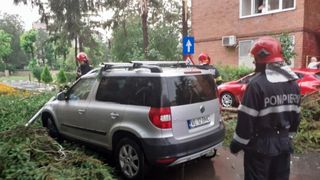  Vijelia din Vâlcea a smuls copaci și acoperișuri