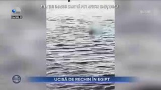 Ucisă de rechin &icirc;n Egipt
