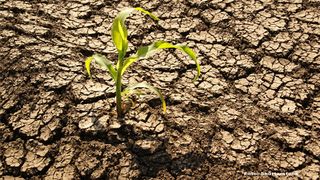  Italia ar putea declara stare de urgență în mai multe regiuni afectate de secetă