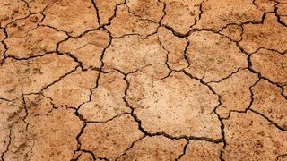 Administrația "Apele Române" face apel la populație să nu foloseasca apa pentru umplerea piscinelor sau udatul grădinilor