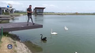 Muntele și marea &icirc;ntr-o singură vacanță