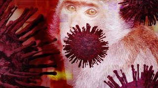 OMS raportează două noi decese cauzate de variola maimuței