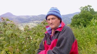 Guru de Hunedoara, &icirc;n stare gravă la Secția de Terapie Intensivă Deva