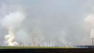 Incediile fac prăpăd în țară. Zeci de hectare de grâu au ars la Arad