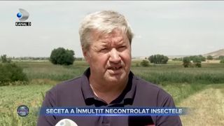 Seceta a &icirc;nmulțit necontrolat insectele