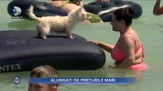 Alungați de prețurile mari