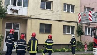 Un câine lăsat legat în balcon a fost salvat de pompierii din Sibiu. Animalul a sărit pe geam și s-a blocat în lesă