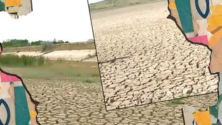 VIDEO - Un lac din Iași a secat din cauza secetei