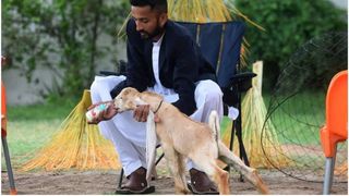 El este Simba, iedul cu cele mai lungi urechi din lume. Animalul simpatic este vedetă pe rețelele de socializare