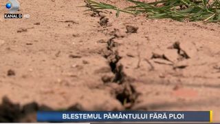 VIDEO - Asta-i Romania! Seceta face ravagii în România