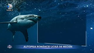 Autopsia româncei ucisă de rechin