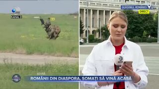 Rom&acirc;nii din diaspora, somați să vină acasă