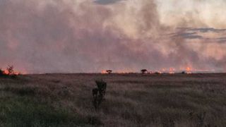 Un puternic incendiu de vegetație a izbucnit între localitățile Năvodari și Lumina din județul Constanța