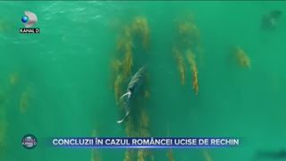 Concluzii în cazul româncei ucise de rechin