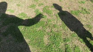 Caz revoltător în județul Alba: un bărbat este acuzat că și-ar fi abuzat fiul cu handicap