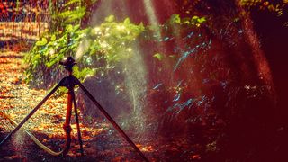 VIDEO - Spania este în alertă. Temperaturi de peste 44 de grade Celsius