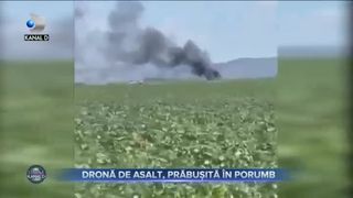 Dronă de asalt, prăbușită &icirc;n porumb