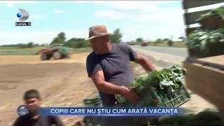 Copiii care nu știu cum arată vacanța