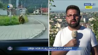 Urșii vor fi alungați cu lasere