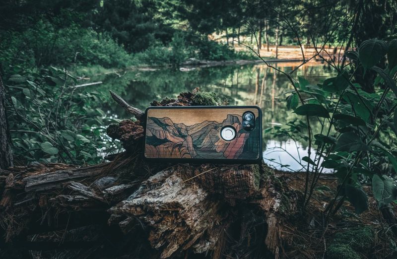 Personalizează-ți telefonul cu o husă în spiritul verii