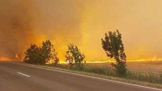 VIDEO - Incendii de vegetație în mai multe zone din țară. În Teleorman, circulația pe un drum național a fost oprită