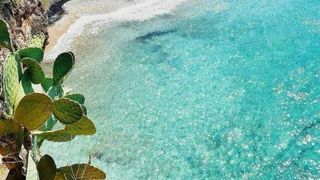 Locul &icirc;n care şezlongul costă 20 de lei, ciorba de peşte 12 lei şi berea 6 lei