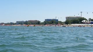 Alertă de gărgăuni pe litoralul rom&acirc;nesc. Ce spune un cunoscut medic despre panica creată