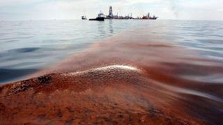 VIDEO - Avertisment sumbru făcut de cercetători: apa din Marea Neagră pune în pericol viața oamenilor