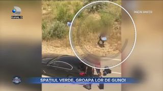 Spațiul verde, groapa lor de gunoi