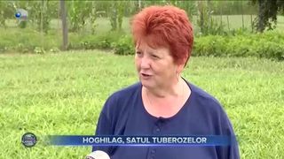 Hoghilag, satul tuberozelor