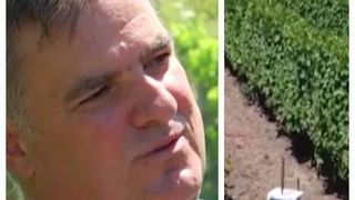 Rom&acirc;nul care face furori &icirc;n afaceri. A creat un sistem unic &icirc;n lume pentru protejarea culturilor