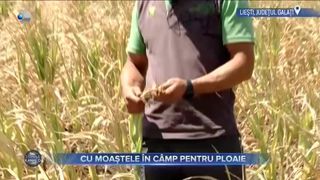 Cu moaștele &icirc;n c&acirc;mp pentru ploaie