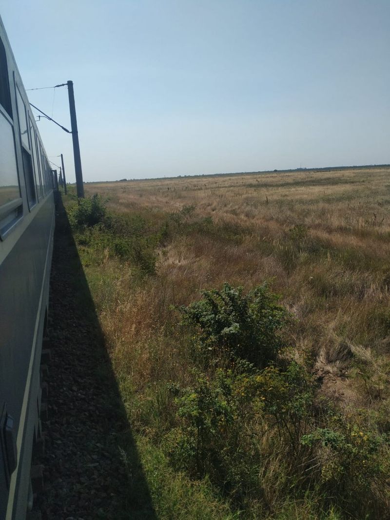 Un tren este în câmp de trei ore la Târgu Jiu. Zeci de călători sunt ținuți în căldura infernală