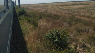 Un tren este în câmp de trei ore la Târgu Jiu. Zeci de călători sunt ținuți în căldura infernală