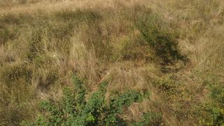 Un tren este în câmp de trei ore la Târgu Jiu. Zeci de călători sunt ținuți în căldura infernală