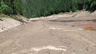 Din cauza temperaturilor ridicate, o parte din Lacul Beliș a secat