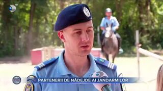 Partenerii de nădejde ai jandarmilor