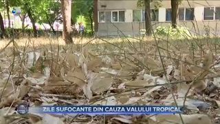 Zile sufocante din cauza valului tropical