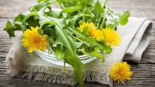 Sirop de păpădie: Reţeta care te va scăpa de durerile biliare