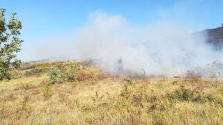 Pompierii au intervenit la un incendiu de vegetație izbucnit &icirc;n Miroslava 