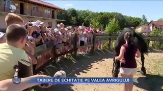 Tabere de echitație pe Valea Avrigului